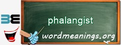 WordMeaning blackboard for phalangist